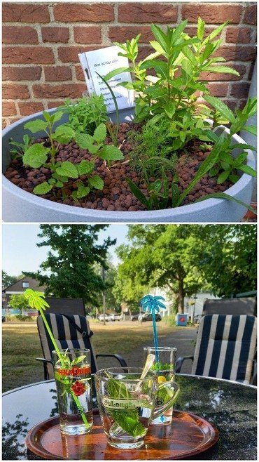Eine Collage mit Pflanzen und Getränken im Garten.