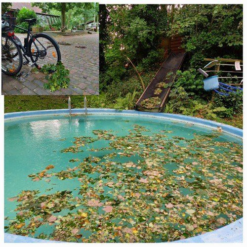 Collage: Runder Pool voller Blätter, ein Fahrrad und eine Rutsche in bewaldetem Bereich.